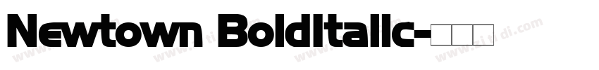 Newtown BoldItalic字体转换